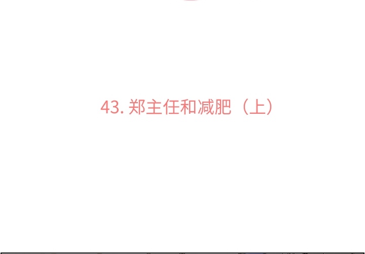 第 43 章