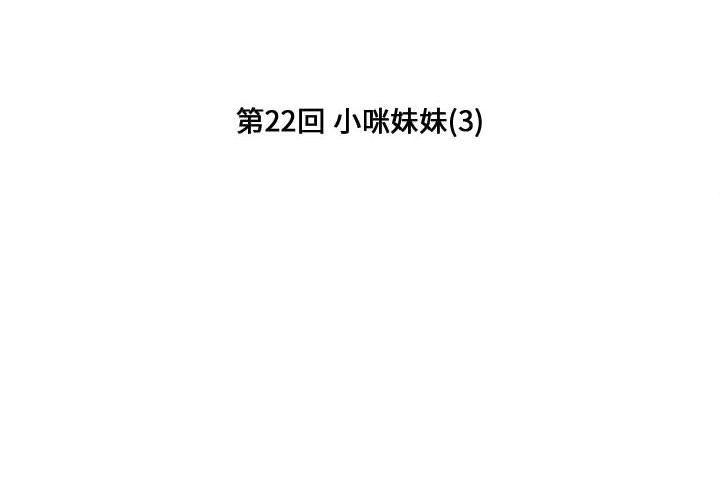 第 22 章