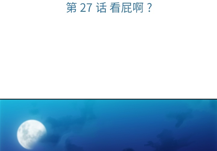 第 27 章